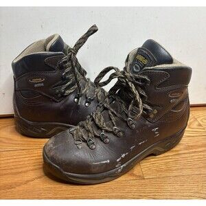 Asolo TPS 520 GV EVO Goretex Men Size 9 Brown Leather Terrian Hiking Boots